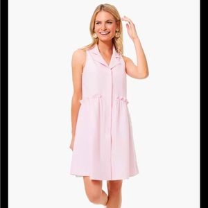 Tuckernuck Pink Oxford Sleeveless Royal Shirt Dress
